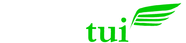 Investui logo